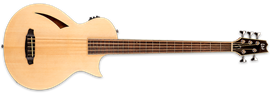 LTD Thinline TL-5 Natural 5-String Acoustic Electric Bass Guitar